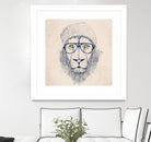 Cool lion by Solti Balázs on GIANT ART - brown digital painting