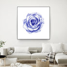 Ballpoint Blue Rose by Ronny Petrus Johannes Kools on GIANT ART - blue mixed media