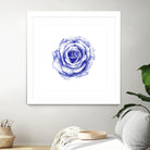 Ballpoint Blue Rose by Ronny Petrus Johannes Kools on GIANT ART - blue mixed media