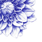 Ballpoint Blue Dahlia by Ronny Petrus Johannes Kools on GIANT ART - blue digital drawing