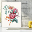 King protea flowers watercolor illustration by Two Lips on GIANT ART - pink digital drawing