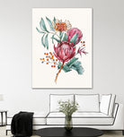 King protea flowers watercolor illustration by Two Lips on GIANT ART - pink digital drawing