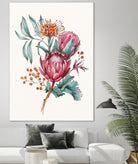 King protea flowers watercolor illustration by Two Lips on GIANT ART - pink digital drawing