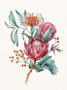 King protea flowers watercolor illustration by Two Lips on GIANT ART - pink digital drawing