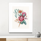 King protea flowers watercolor illustration by Two Lips on GIANT ART - pink digital drawing