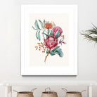 King protea flowers watercolor illustration by Two Lips on GIANT ART - pink digital drawing