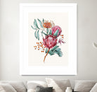 King protea flowers watercolor illustration by Two Lips on GIANT ART - pink digital drawing