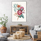 King protea flowers watercolor illustration by Two Lips on GIANT ART - pink digital drawing