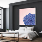 Big Echeveria Design by Brigitte Carre on GIANT ART - blue digital painting