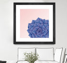 Big Echeveria Design by Brigitte Carre on GIANT ART - blue digital painting