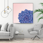 Big Echeveria Design by Brigitte Carre on GIANT ART - blue digital painting