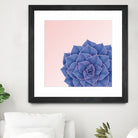 Big Echeveria Design by Brigitte Carre on GIANT ART - blue digital painting