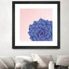 Big Echeveria Design by Brigitte Carre on GIANT ART - blue digital painting