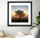 Tree at Sunrise Sunrise by Brian Sooy on GIANT ART - orange photo illustration