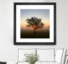 Tree at Sunrise Sunrise by Brian Sooy on GIANT ART - orange photo illustration