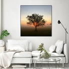 Tree at Sunrise Sunrise by Brian Sooy on GIANT ART - orange photo illustration