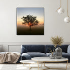 Tree at Sunrise Sunrise by Brian Sooy on GIANT ART - orange photo illustration