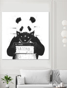 Bad panda by Solti Balázs on GIANT ART - white digital drawing