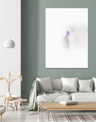 Ceolo by Dorian Legret on GIANT ART - white photo manipulation