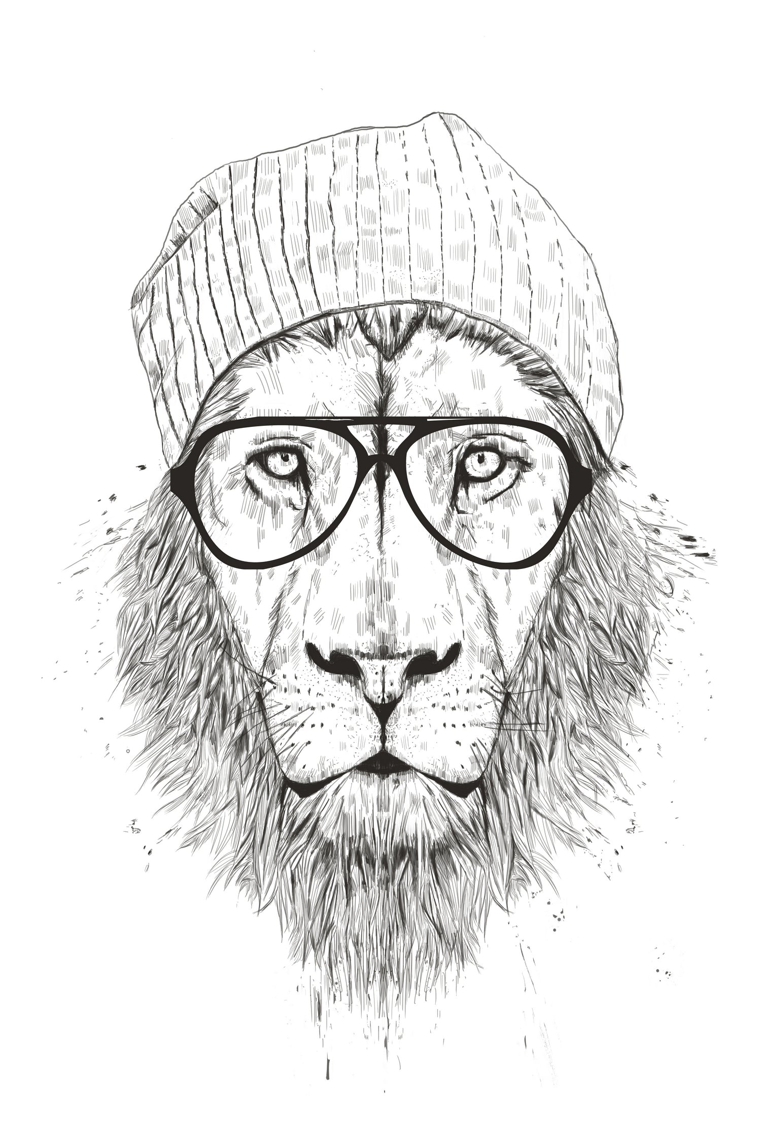 Cool lion (bw) by Solti Balázs on GIANT ART - white digital drawing