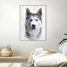 Siberian Husky by Alex Baron on GIANT ART - gray digital painting