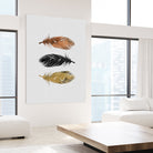 Feathers by Dana Shek on GIANT ART - white photo illustration