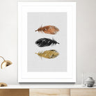 Feathers by Dana Shek on GIANT ART - white photo illustration