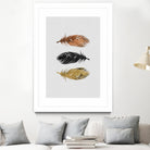 Feathers by Dana Shek on GIANT ART - white photo illustration