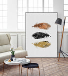 Feathers by Dana Shek on GIANT ART - white photo illustration