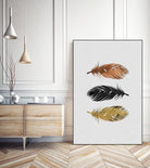 Feathers by Dana Shek on GIANT ART - white photo illustration