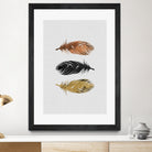 Feathers by Dana Shek on GIANT ART - white photo illustration