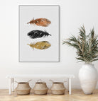 Feathers by Dana Shek on GIANT ART - white photo illustration