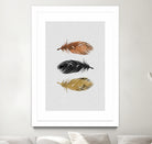 Feathers by Dana Shek on GIANT ART - white photo illustration