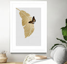 Butterfly & Palm by Dana Shek on GIANT ART - white digital painting