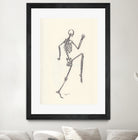 YOGA SKULLS003 by Ballpointpen Illustrator on GIANT ART - white mixed media