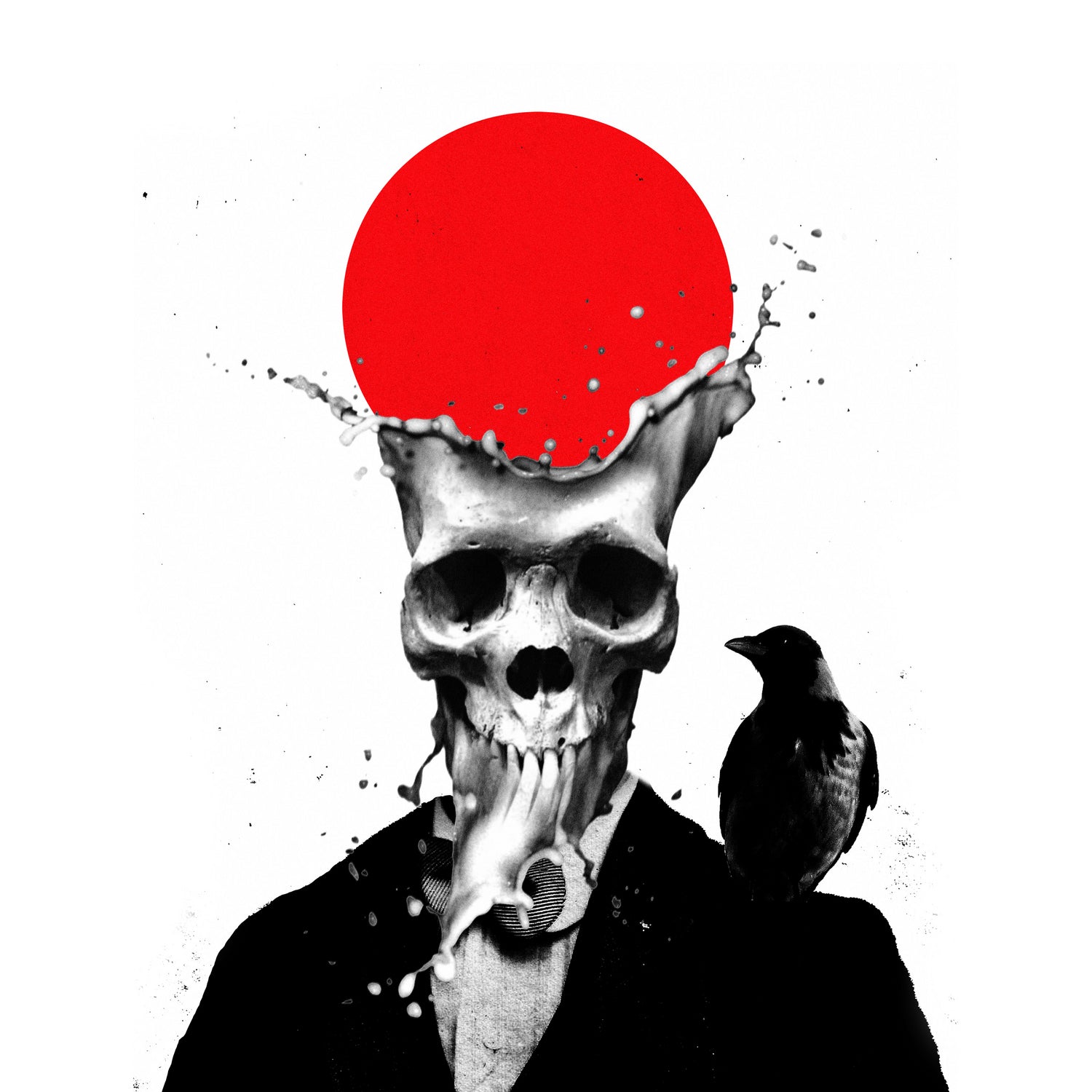 Splash Skull by Ali Gulec on GIANT ART - white photo illustration