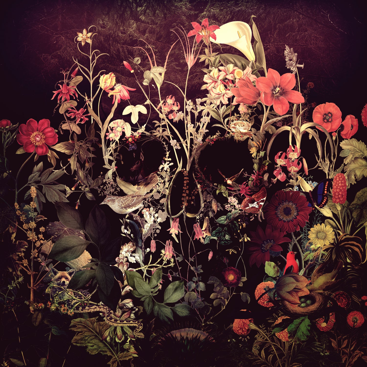 Bloom Skull by Ali Gulec on GIANT ART - red photo illustration