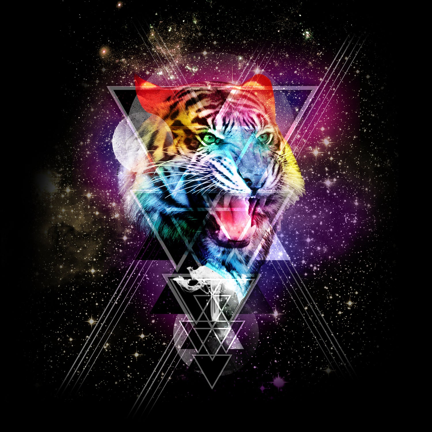 Cosmic Tiger by Ali Gulec on GIANT ART - black photo illustration