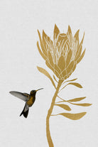 Hummingbird & Flower I by Dana Shek on GIANT ART - white digital painting