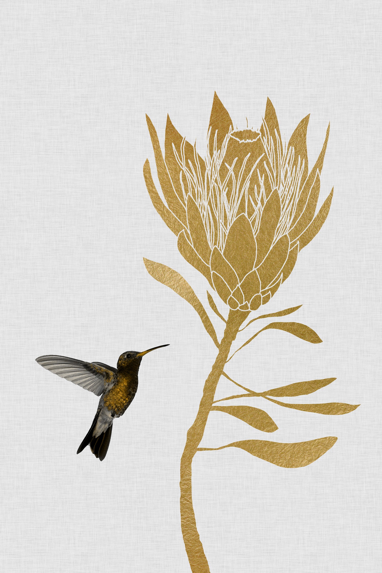 Hummingbird & Flower I by Dana Shek on GIANT ART - white digital painting