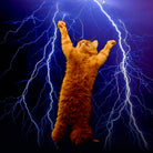 cat Thunders lighting space universe galaxy by Damian Augustyniak on GIANT ART - blue photo manipulation