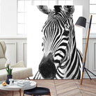 Black and White Zebra by Alessandra Minervini on GIANT ART - black digital painting