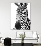 Black and White Zebra by Alessandra Minervini on GIANT ART - black digital painting