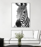 Black and White Zebra by Alessandra Minervini on GIANT ART - black digital painting