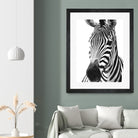 Black and White Zebra by Alessandra Minervini on GIANT ART - black digital painting