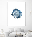 Blue Fish Illustration by Alessandra Minervini on GIANT ART - blue digital painting