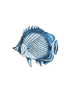 Blue Fish Illustration by Alessandra Minervini on GIANT ART - blue digital painting