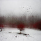 heArt of Winter by Dirk Wüstenhagen on GIANT ART - white photo manipulation