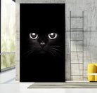 The Black Cat by Mikhail Zhirnov on GIANT ART - black photo illustration