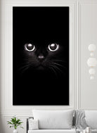 The Black Cat by Mikhail Zhirnov on GIANT ART - black photo illustration